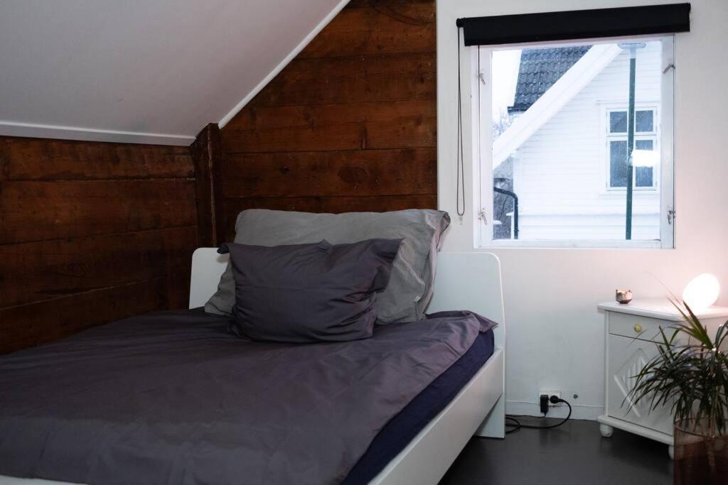 Charming In Central Apartment