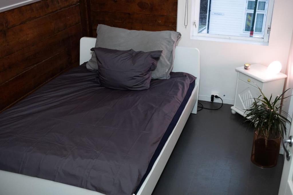 Apartment Charming In Central